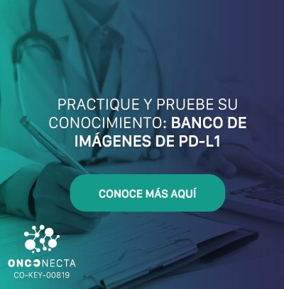 Banner Banco de Imagenes
