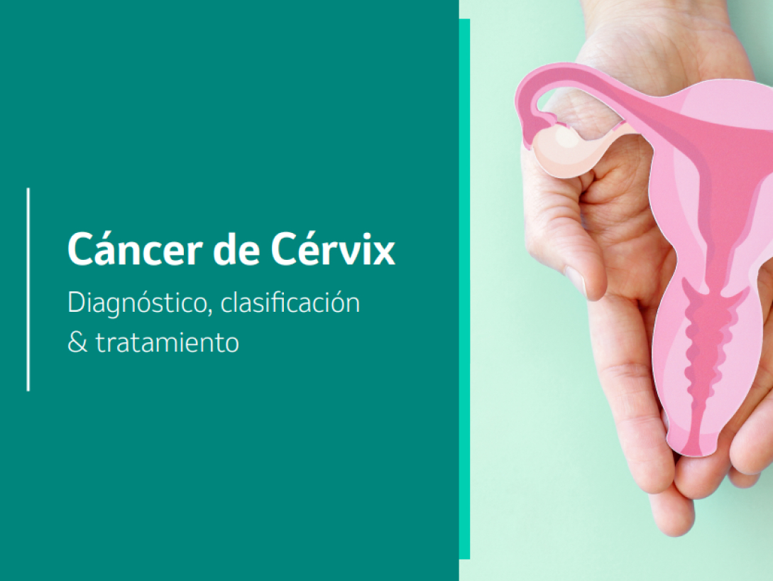 EC-CER-00043_preview